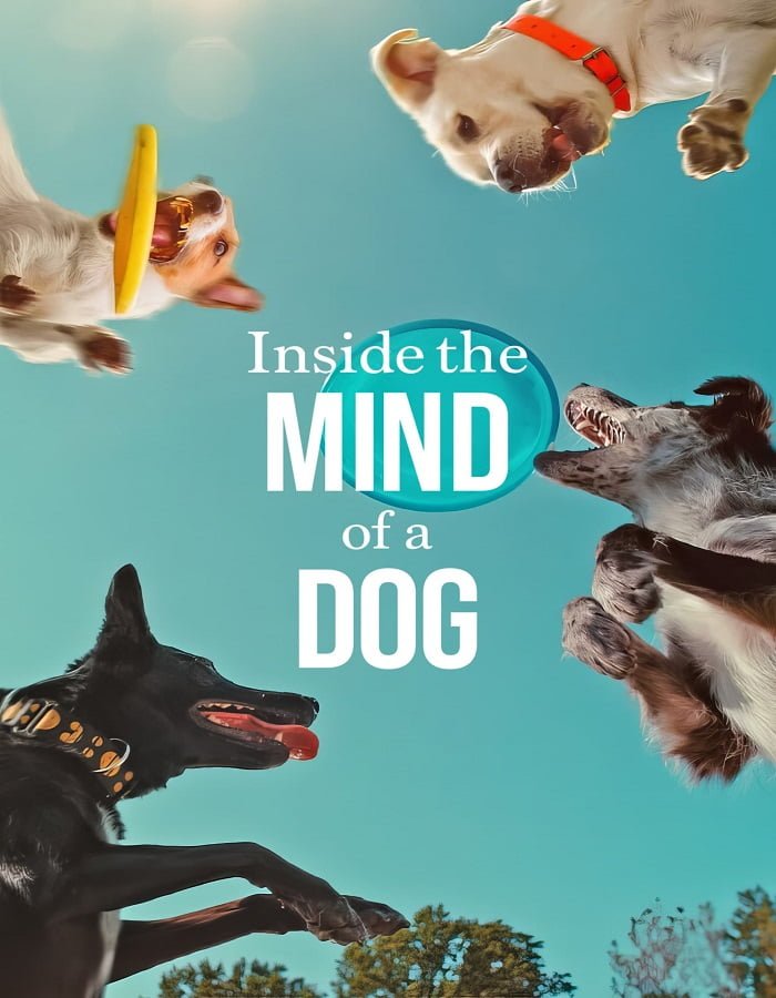 Inside the Mind of a Dog (2024) อ่านใจสุนัข